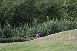 487.jpg 487.jpg