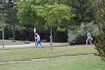 504.jpg 504.jpg