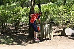 550.jpg 550.jpg