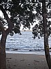 5608.jpg 5608.jpg