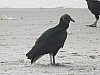 5614.jpg 5614.jpg