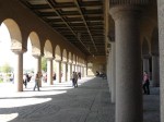 50226.jpg 50226.jpg