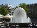 50295.jpg 50295.jpg