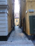 50462.jpg 50462.jpg