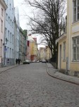 40931.jpg 40931.jpg