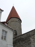 40948.jpg 40948.jpg