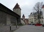 40981.jpg 40981.jpg