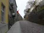 50029.jpg 50029.jpg