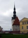 50035.jpg 50035.jpg