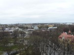 50073.jpg 50073.jpg