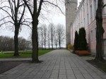 50107.jpg 50107.jpg