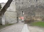 50119.jpg 50119.jpg
