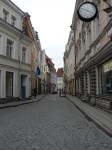 50156.jpg 50156.jpg