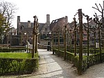30493.jpg 30493.jpg