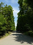 40537.jpg 40537.jpg