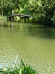 40542.jpg 40542.jpg
