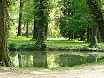 40544.jpg 40544.jpg