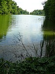 40550.jpg 40550.jpg