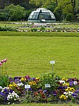 40574.jpg 40574.jpg