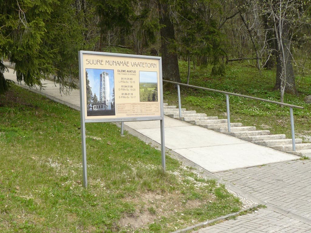 40765.jpg