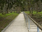 40766.jpg 40766.jpg