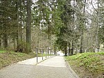 40768.jpg 40768.jpg