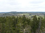 40774.jpg 40774.jpg