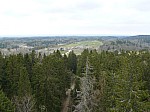 40775.jpg 40775.jpg