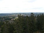40779.jpg 40779.jpg