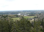 40781.jpg 40781.jpg