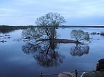 40873.jpg 40873.jpg