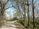 40901.jpg 40901.jpg