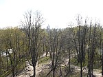 40919.jpg 40919.jpg