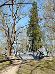 40949.jpg 40949.jpg