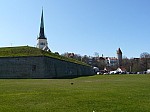 50041.jpg 50041.jpg