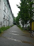 50089.jpg 50089.jpg