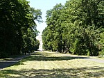 50149.jpg 50149.jpg