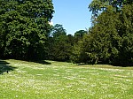 50152.jpg 50152.jpg