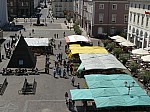 50181.jpg 50181.jpg