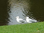 400562.jpg 400562.jpg