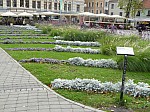 400798.jpg 400798.jpg