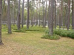 400932.jpg 400932.jpg