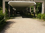 1360401.jpg 1360401.jpg