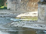 1360617.jpg 1360617.jpg