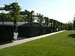 1360631.jpg 1360631.jpg