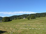 1380058.jpg 1380058.jpg