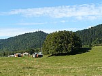 1380059.jpg 1380059.jpg