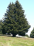 1380087.jpg 1380087.jpg
