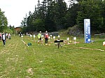 1380193.jpg 1380193.jpg