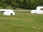 1380247.jpg 1380247.jpg